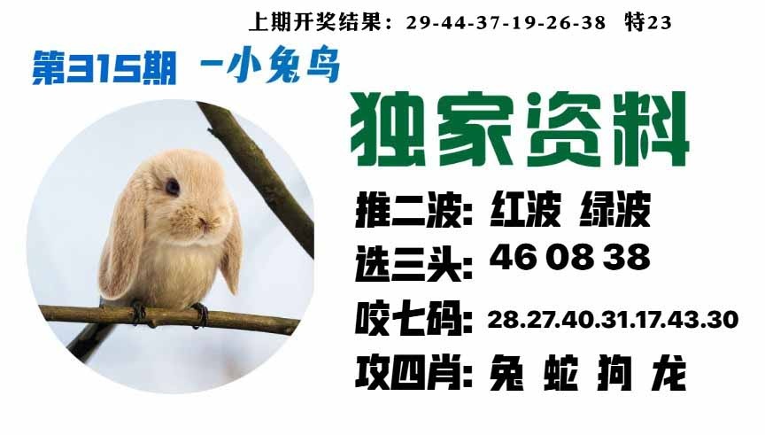 315期小兔鸟[图]