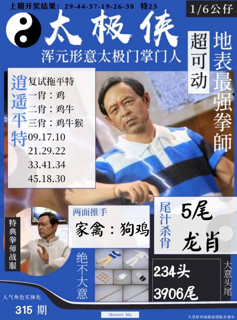 315期太极侠[图]